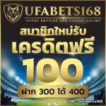 สมาชิกใหม่รับเครดิตฟรี100