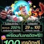 เเจกเครดิตฟรี 100