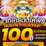 แจกโค้ดทุนฟรี 100