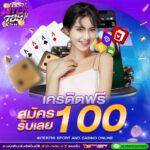 ทุนฟรี 100