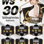 แจกเครดิตฟรี 30