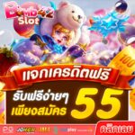 แจกเครดิตฟรี 55