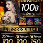 ทุนฟรี 100