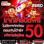 แจกเครดิตฟรี 50