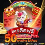 แจกโค้ดเครดิตฟรี 50