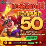 แจกเครดิตฟรี 𝟓𝟎