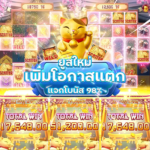 สมัครใหม่ยังไงก็ได้ถอน